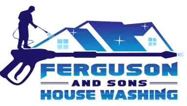 Ferguson and Sons House Washing logo